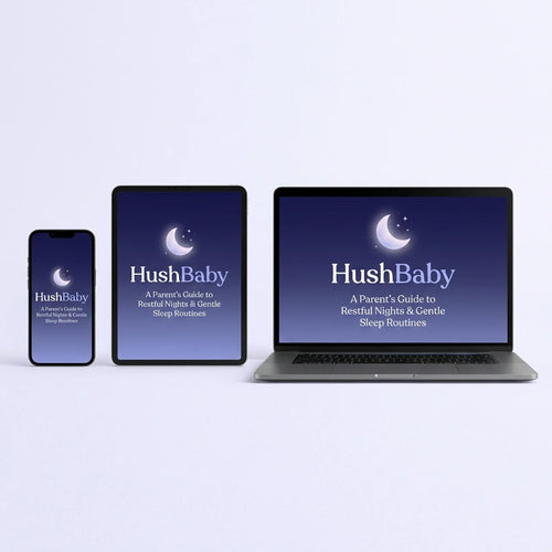 The HushBaby Sleep Blueprint